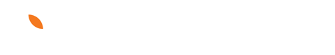 Air Ocean Cargo Spa